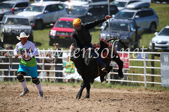 BungendoreRodeo2016-2746