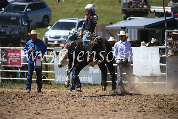 BungendoreRodeo2016-2902