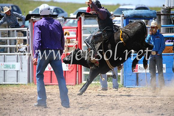 BungendoreRodeo2016-2251