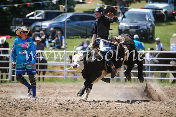 BungendoreRodeo2016-2230