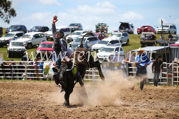 BungendoreRodeo2016-2140