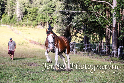 DingleFeb2018_0064