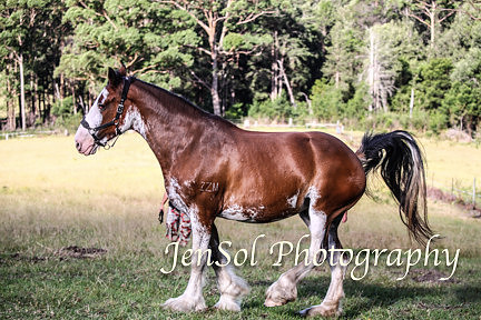 DingleFeb2018_0089
