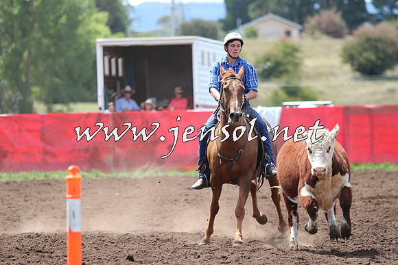 NimmitabelCampdraft2015_1466
