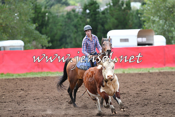 NimmitabelCampdraft2015_1410