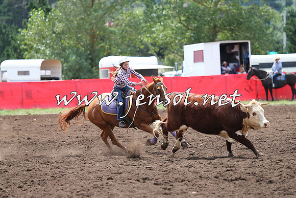 NimmitabelCampdraft2015_1368