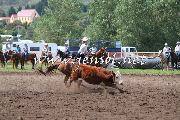 NimmitabelCampdraft2015_1475
