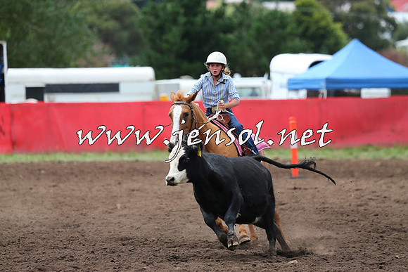 NimmitabelCampdraft2015_1417