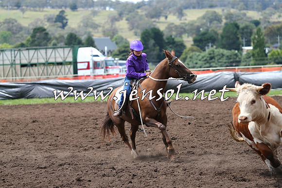 NimmitabelCampdraft2015_1391