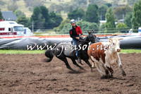 NimmitabelCampdraft2015_1355