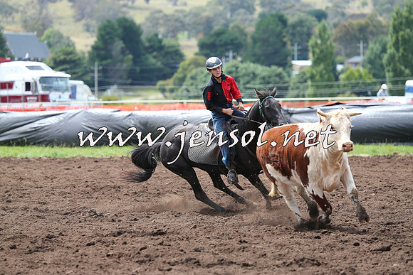 NimmitabelCampdraft2015_1355