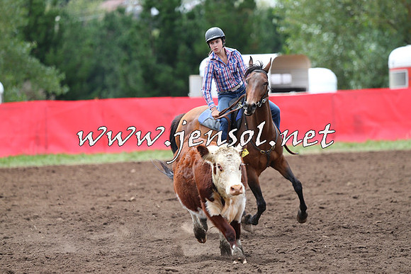 NimmitabelCampdraft2015_1407