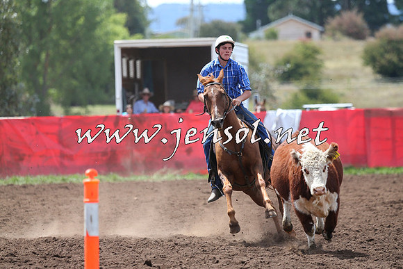 NimmitabelCampdraft2015_1469