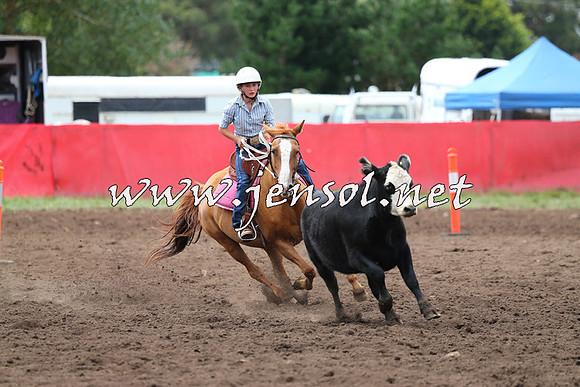 NimmitabelCampdraft2015_1411