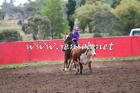 NimmitabelCampdraft2015_1384
