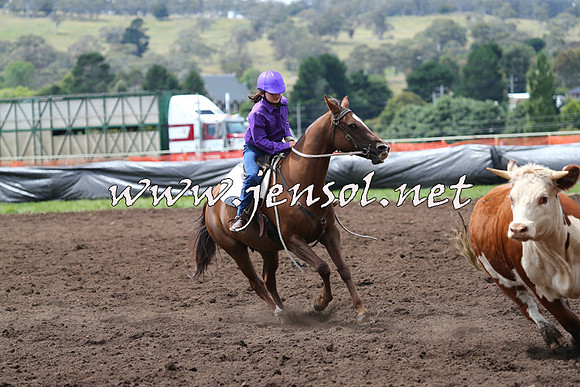 NimmitabelCampdraft2015_1394