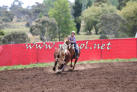 NimmitabelCampdraft2015_1361