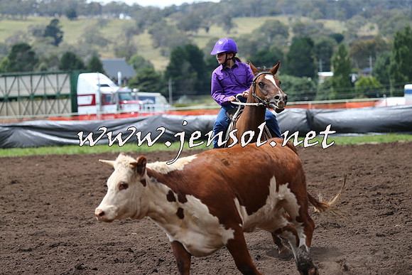NimmitabelCampdraft2015_1390
