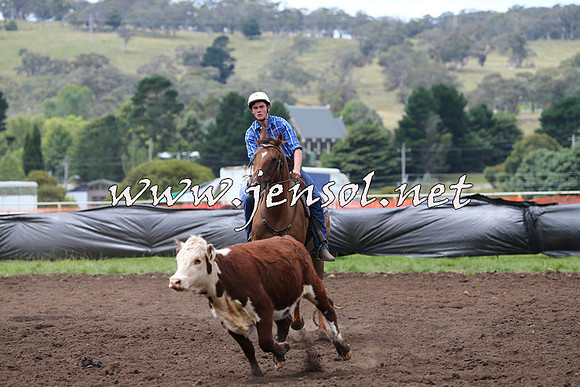 NimmitabelCampdraft2015_1425