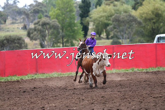 NimmitabelCampdraft2015_1382