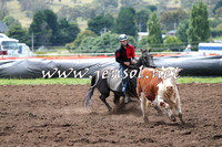 NimmitabelCampdraft2015_1352