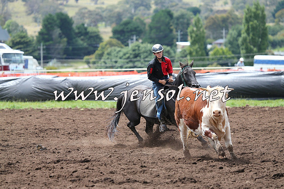 NimmitabelCampdraft2015_1352