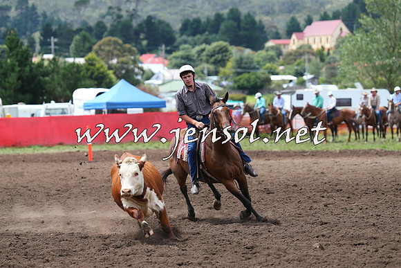 NimmitabelCampdraft2015_1443