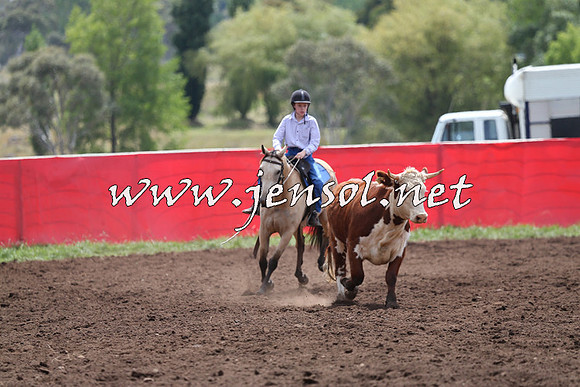 NimmitabelCampdraft2015_1378