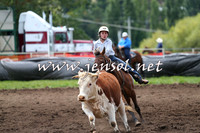 NimmitabelCampdraft2015_1344