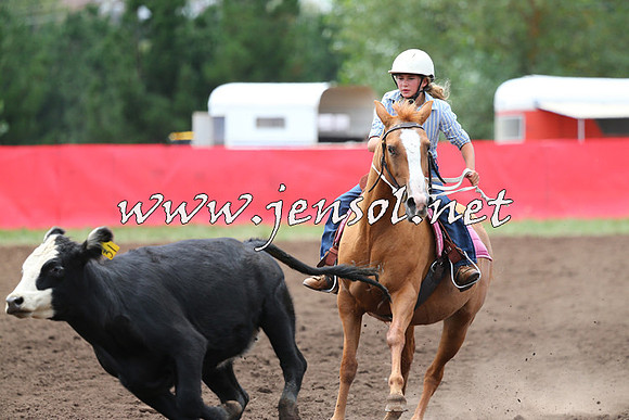 NimmitabelCampdraft2015_1418