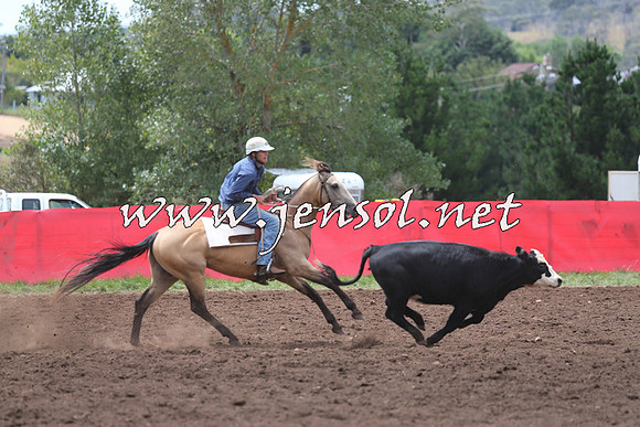 NimmitabelCampdraft2015_1426