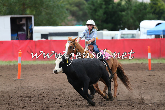 NimmitabelCampdraft2015_1415