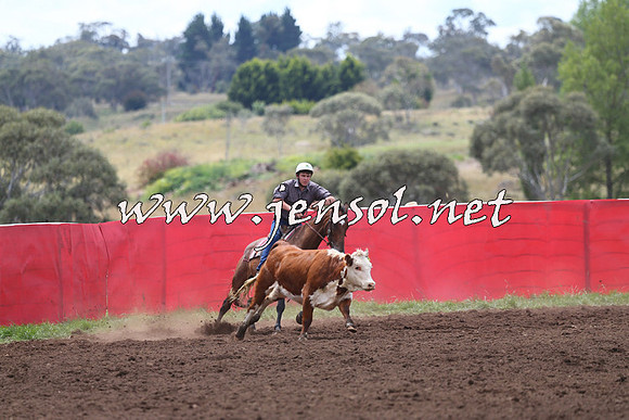 NimmitabelCampdraft2015_1436