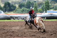 NimmitabelCampdraft2015_1351