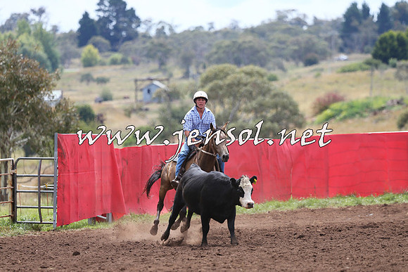 NimmitabelCampdraft2015_1397
