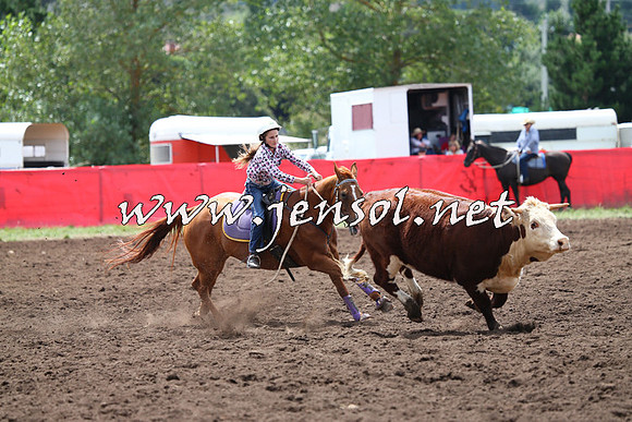 NimmitabelCampdraft2015_1366