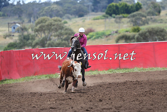 NimmitabelCampdraft2015_1447