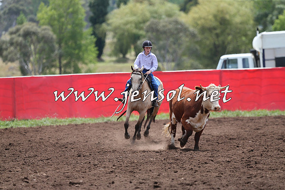 NimmitabelCampdraft2015_1376
