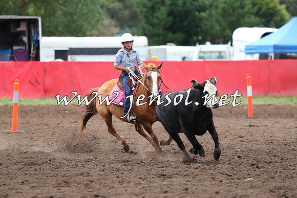 NimmitabelCampdraft2015_1413