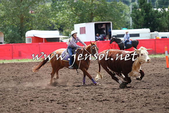 NimmitabelCampdraft2015_1367