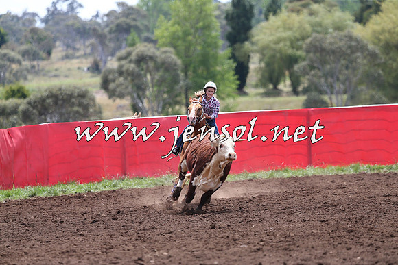 NimmitabelCampdraft2015_1365