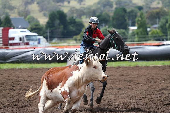 NimmitabelCampdraft2015_1356