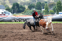 NimmitabelCampdraft2015_1354