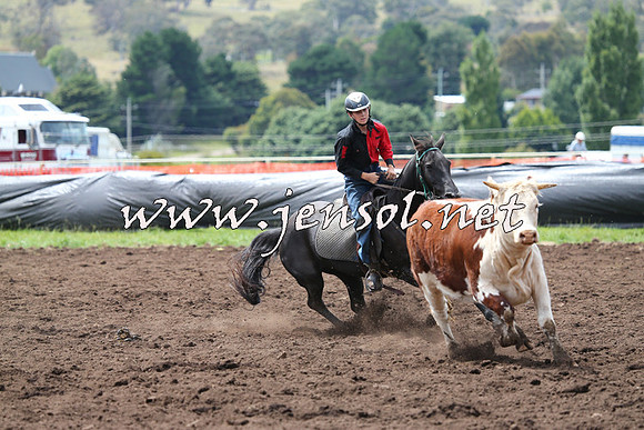 NimmitabelCampdraft2015_1354