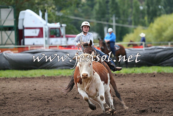 NimmitabelCampdraft2015_1345