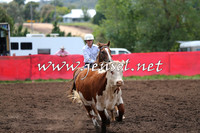 NimmitabelCampdraft2015_1335