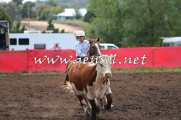 NimmitabelCampdraft2015_1335