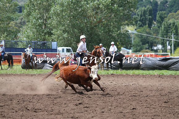 NimmitabelCampdraft2015_1471
