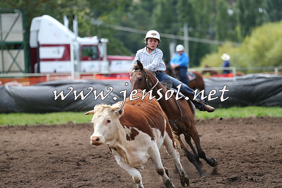 NimmitabelCampdraft2015_1343
