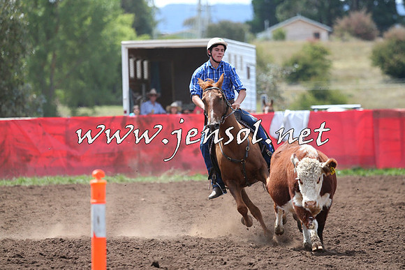 NimmitabelCampdraft2015_1468